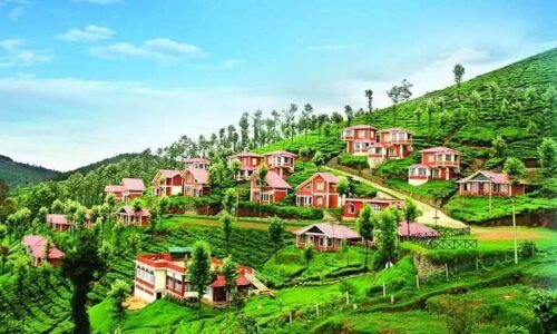 coorg ooty feature