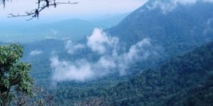 Agumbe_View_point