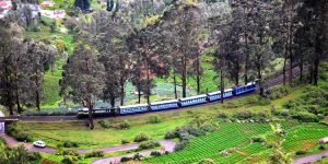 places-to-visit-ooty-tour-local-sightseeing-tour-package-toy-train-ooty