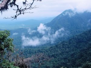Agumbe_View_point
