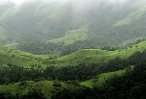 Agumbe Hill Station